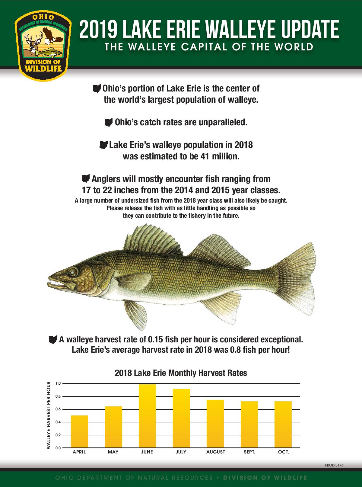 Infographic showing the 2019 Lake Erie Walleye field guide according to the Ohio Department of Natural Resources Division of Wildlife
